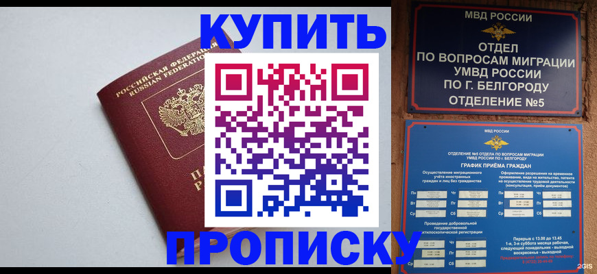 прописка регистрация в Большом Камне